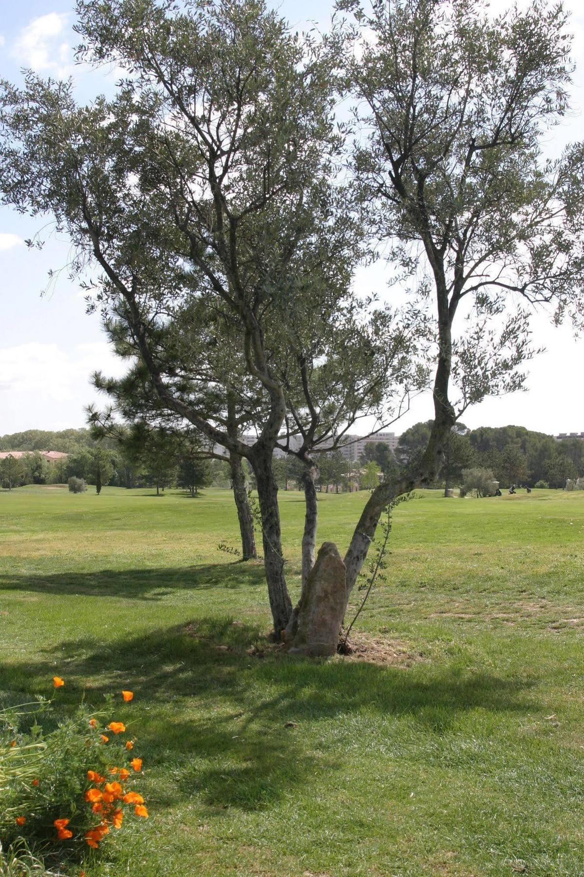 Residence De Tourisme Cote Green Juvignac Bagian luar foto